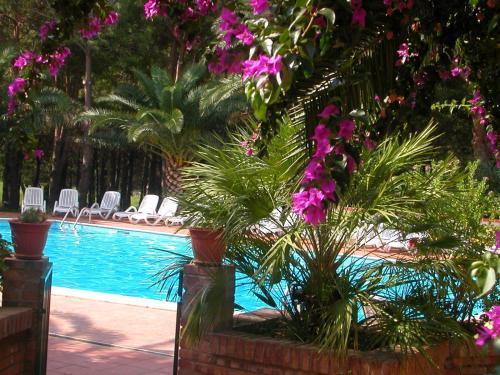 Affittacamere Villa Brazzano Scalea Exterior foto