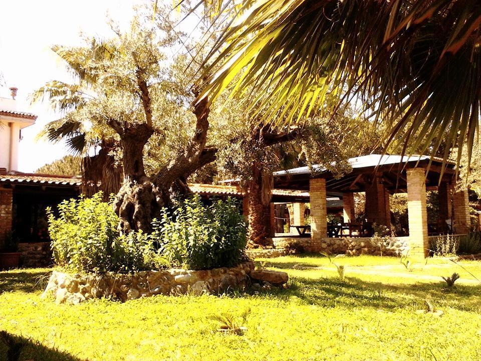 Affittacamere Villa Brazzano Scalea Exterior foto